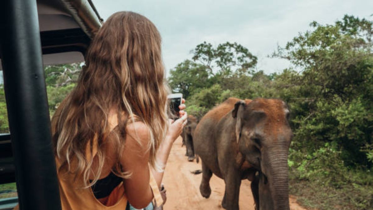 Wild Safari & Southern Coast Adventure (6 Days / 5 Nights)